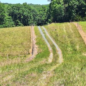 Photo #23 of Burgess Cattle, Ramseur, NC 95.5 acres