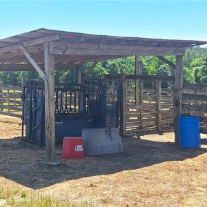 Photo #27 of Burgess Cattle, Ramseur, NC 95.5 acres