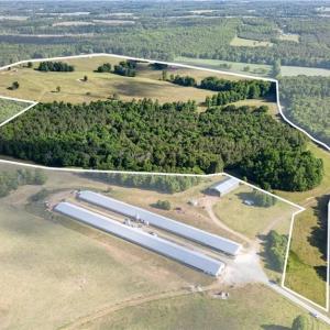 Photo #2 of Burgess Cattle, Ramseur, NC 95.5 acres