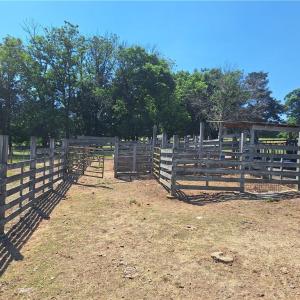 Photo #16 of Burgess Cattle, Ramseur, NC 95.5 acres