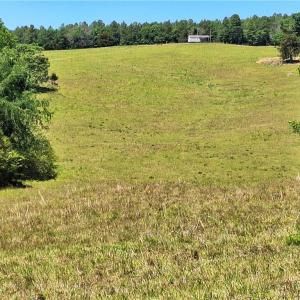Photo #12 of Burgess Cattle, Ramseur, NC 95.5 acres