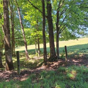 Photo #26 of Burgess Cattle, Ramseur, NC 95.5 acres