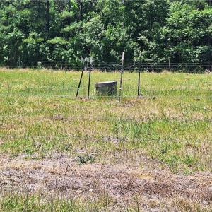 Photo #22 of Burgess Cattle, Ramseur, NC 95.5 acres
