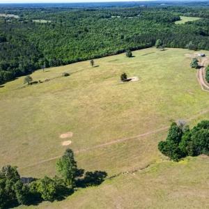 Photo #7 of Burgess Cattle, Ramseur, NC 95.5 acres