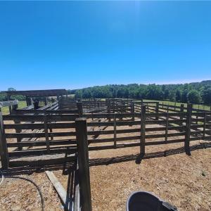 Photo #28 of Burgess Cattle, Ramseur, NC 95.5 acres