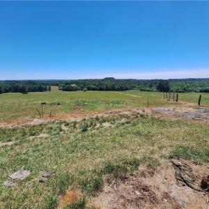 Photo #20 of Burgess Cattle, Ramseur, NC 95.5 acres