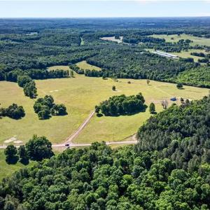 Photo #9 of Burgess Cattle, Ramseur, NC 95.5 acres