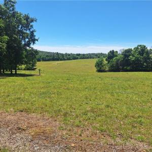 Photo #30 of Burgess Cattle, Ramseur, NC 95.5 acres