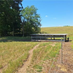 Photo #14 of Burgess Cattle, Ramseur, NC 95.5 acres