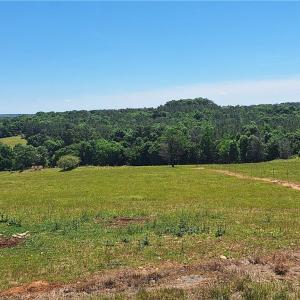 Photo #19 of Burgess Cattle, Ramseur, NC 95.5 acres