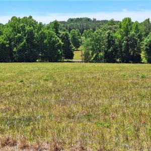 Photo #29 of Burgess Cattle, Ramseur, NC 95.5 acres