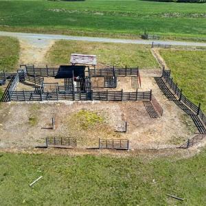 Photo #8 of Burgess Cattle, Ramseur, NC 95.5 acres
