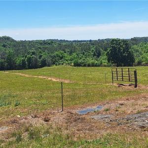Photo #21 of Burgess Cattle, Ramseur, NC 95.5 acres