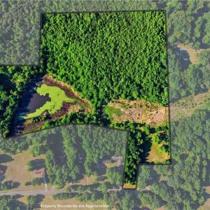 Photo #1 of 3228 Jidemi, Greensboro, NC 19.6 acres