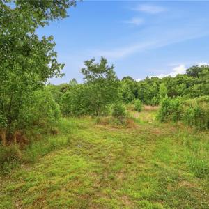 Photo #15 of 3228 Jidemi, Greensboro, NC 19.6 acres