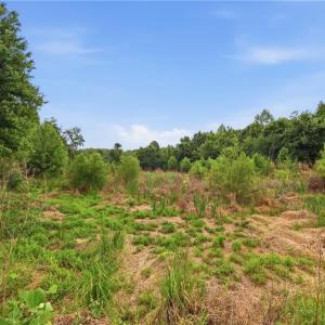 Photo #11 of 3228 Jidemi, Greensboro, NC 19.6 acres