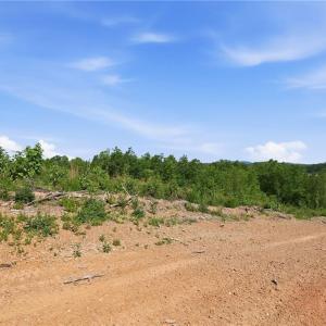 Photo #2 of 00 Lot#4 Skeen View, Asheboro, NC 10.1 acres