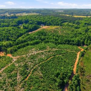 Photo #1 of 00 Lot#4 Skeen View, Asheboro, NC 10.1 acres