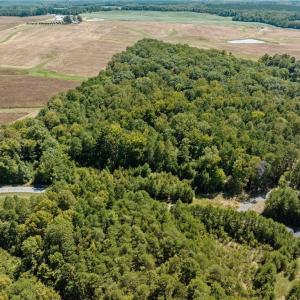 Photo #7 of 17.03 ac 0 New Mayo, Roxboro, NC 17.0 acres