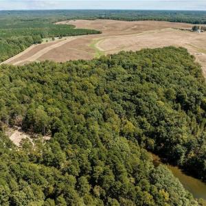 Photo #3 of 17.03 ac 0 New Mayo, Roxboro, NC 17.0 acres