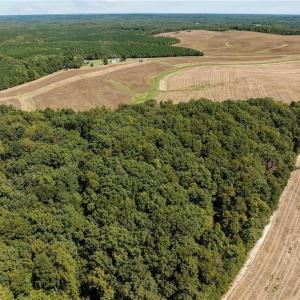 Photo #5 of 17.03 ac 0 New Mayo, Roxboro, NC 17.0 acres