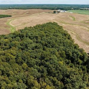 Photo #4 of 17.03 ac 0 New Mayo, Roxboro, NC 17.0 acres