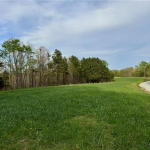driveway and established pasture