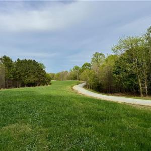 driveway and pasture