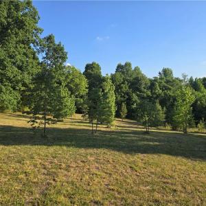 6.14 Acres of Country Bliss