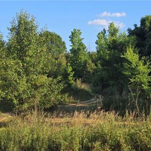 4 Wheeler Road