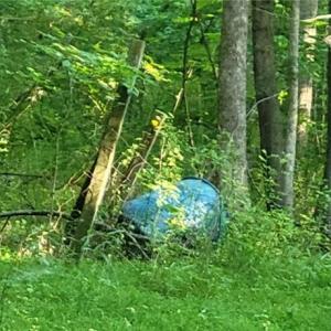 Photo #10 of 217 Cedar Ridge, Randleman, NC 6.1 acres