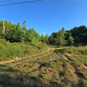 4 Wheeler Road