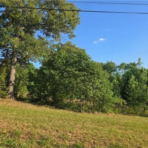 Homestead, Mini-Farm, Gardening and so much more!