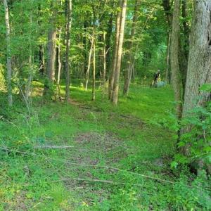 Photo #8 of 217 Cedar Ridge, Randleman, NC 6.1 acres