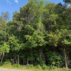 Photo #6 of Jessie Bridges, Siler City, NC 14.3 acres