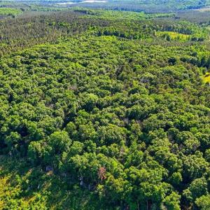 Photo #23 of Bells Grove, Denton, NC 67.6 acres