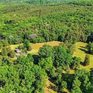 Photo #27 of Bells Grove, Denton, NC 67.6 acres
