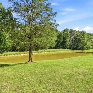 view from front porch with stocked pond