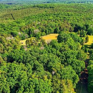 Photo #26 of Bells Grove, Denton, NC 67.6 acres