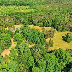Photo #28 of Bells Grove, Denton, NC 67.6 acres