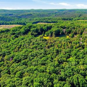 Photo #34 of Bells Grove, Denton, NC 67.6 acres