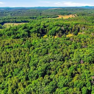 Photo #33 of Bells Grove, Denton, NC 67.6 acres
