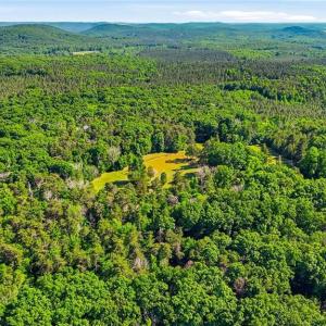Photo #25 of Bells Grove, Denton, NC 67.6 acres