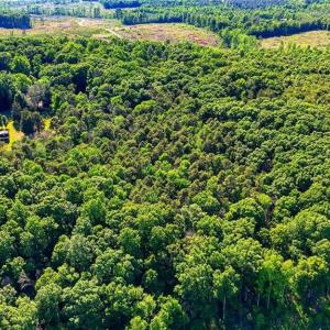 Photo #21 of Bells Grove, Denton, NC 67.6 acres
