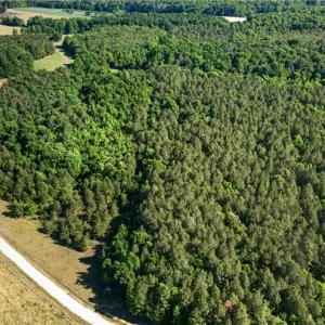 Photo #2 of Burgess Cattle, Ramseur, NC 36.9 acres