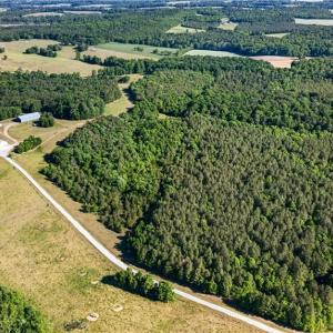 Photo #3 of Burgess Cattle, Ramseur, NC 36.9 acres