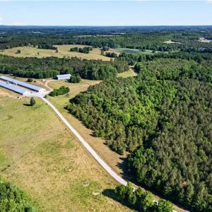 Photo #1 of Burgess Cattle, Ramseur, NC 36.9 acres