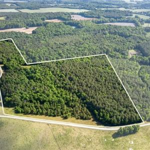 Photo #5 of Burgess Cattle, Ramseur, NC 36.9 acres