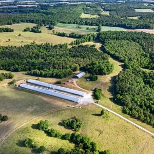Photo #4 of Burgess Cattle, Ramseur, NC 36.9 acres