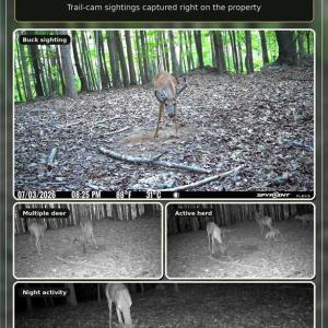 Photo #15 of 808 Neely, Asheboro, NC 53.6 acres